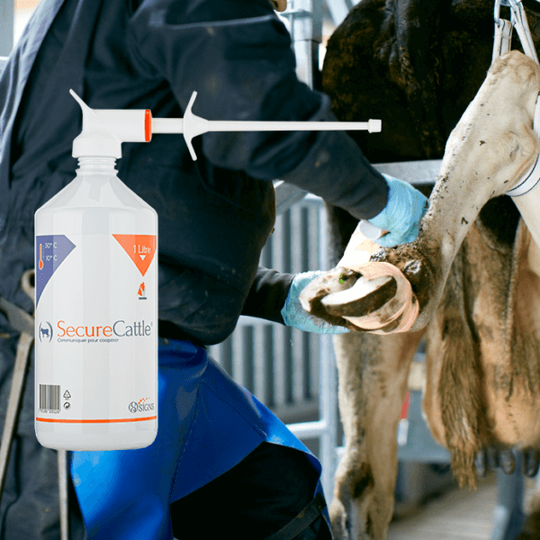 Secure Cattle 1L (rundvee) - Afbeelding 2